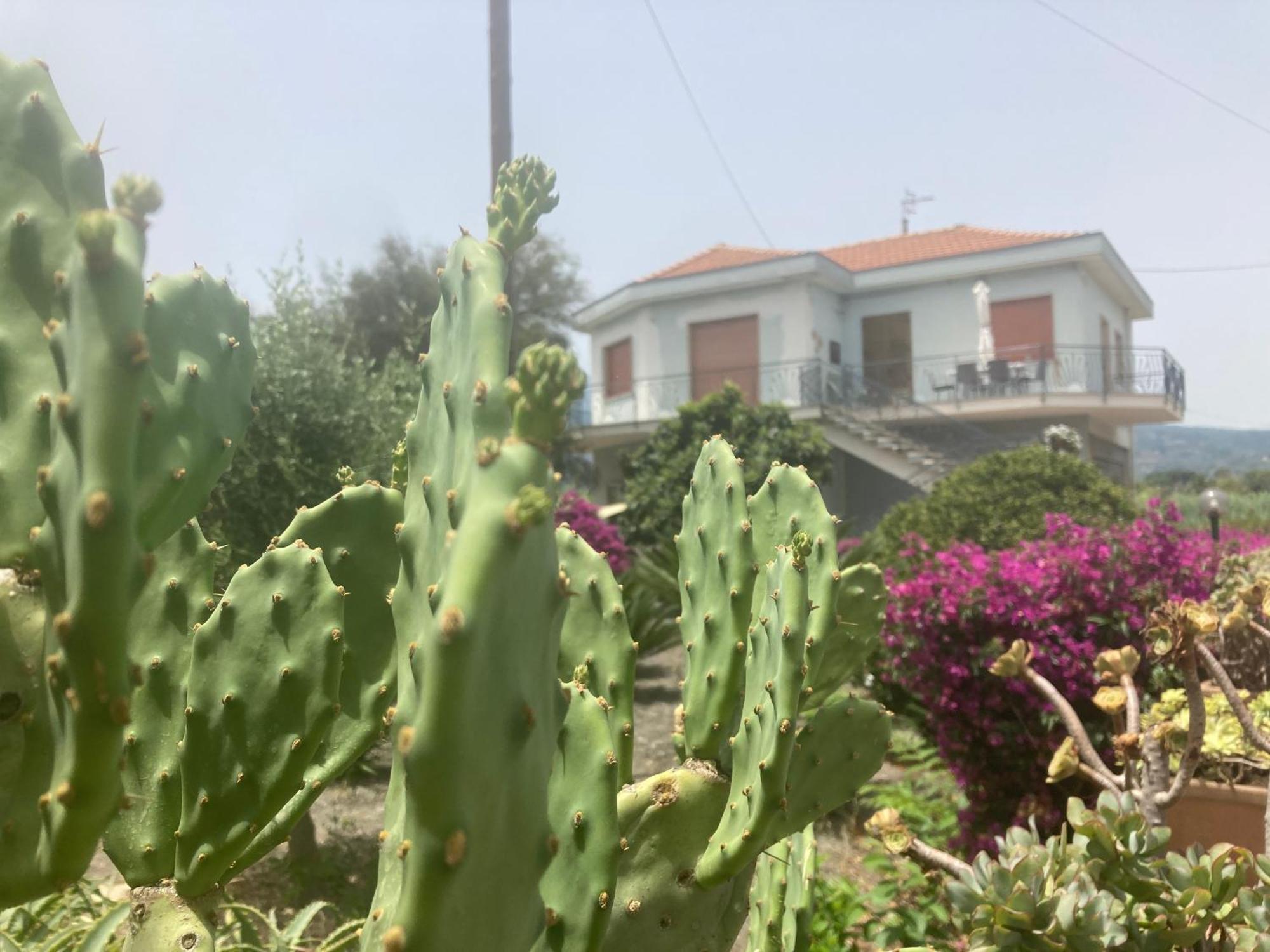 Villa Con Piscina Esclusiva Vista Etna Mascali Εξωτερικό φωτογραφία