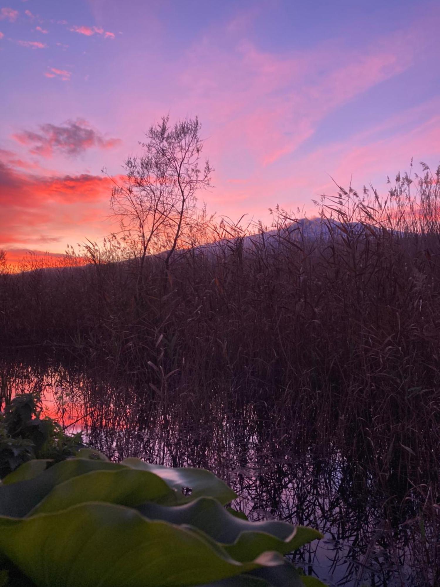 Villa Con Piscina Esclusiva Vista Etna Mascali Εξωτερικό φωτογραφία