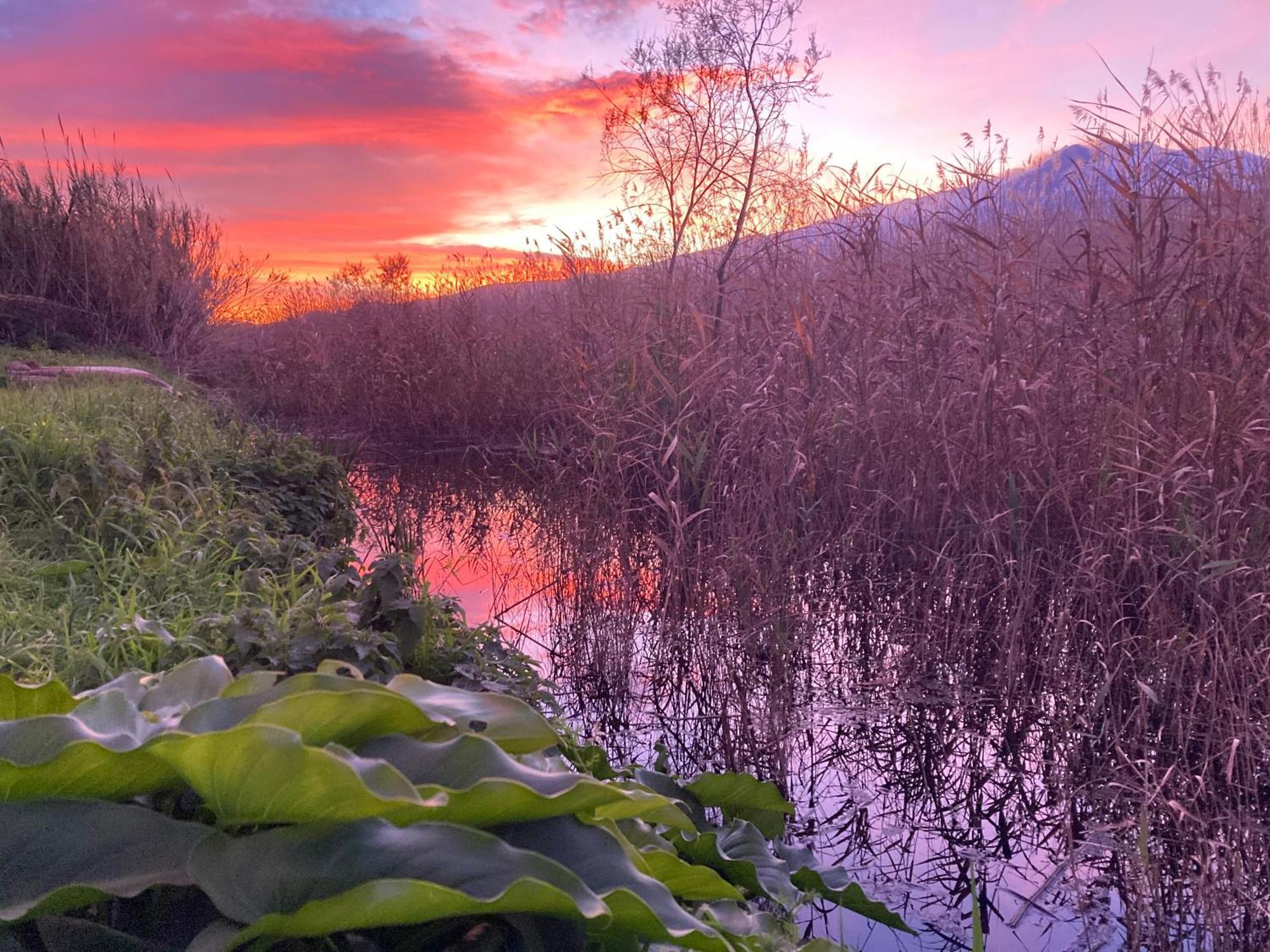 Villa Con Piscina Esclusiva Vista Etna Mascali Εξωτερικό φωτογραφία