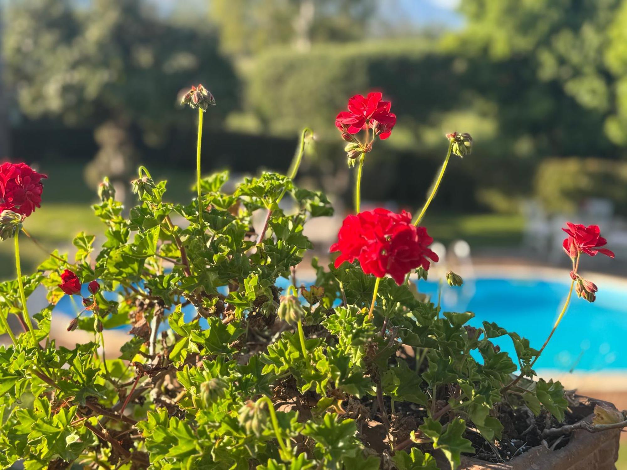 Villa Con Piscina Esclusiva Vista Etna Mascali Εξωτερικό φωτογραφία