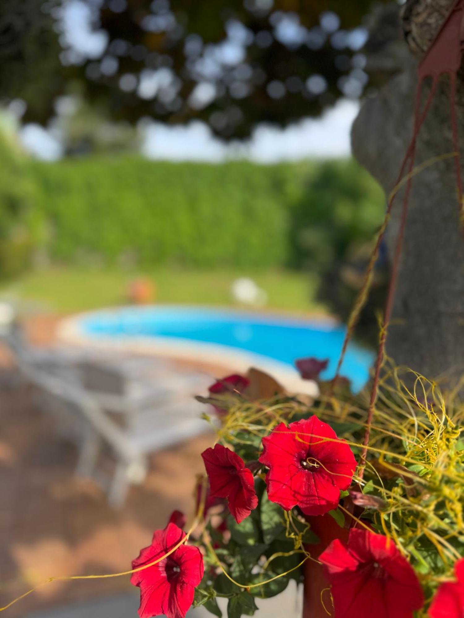 Villa Con Piscina Esclusiva Vista Etna Mascali Εξωτερικό φωτογραφία