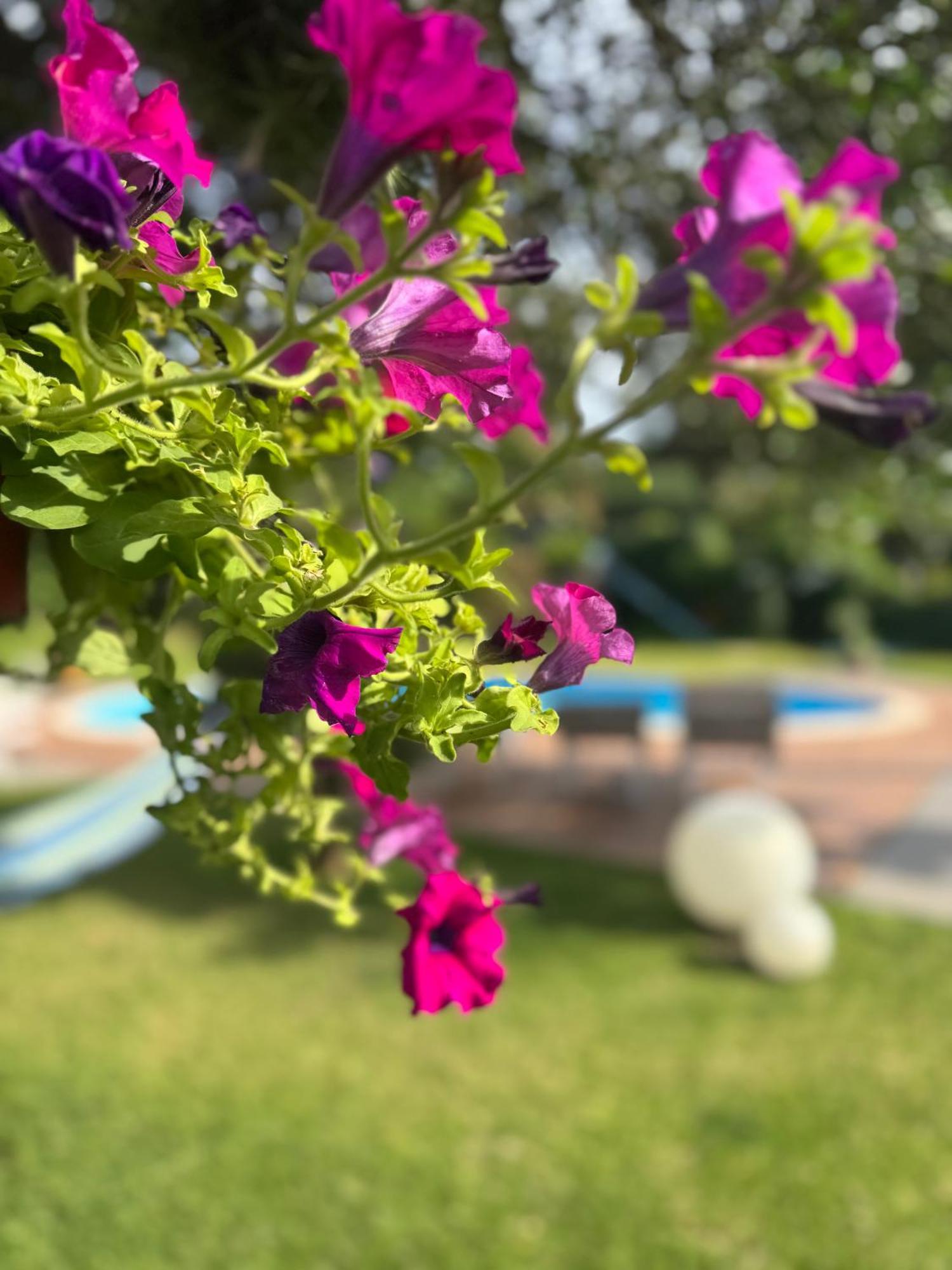 Villa Con Piscina Esclusiva Vista Etna Mascali Εξωτερικό φωτογραφία